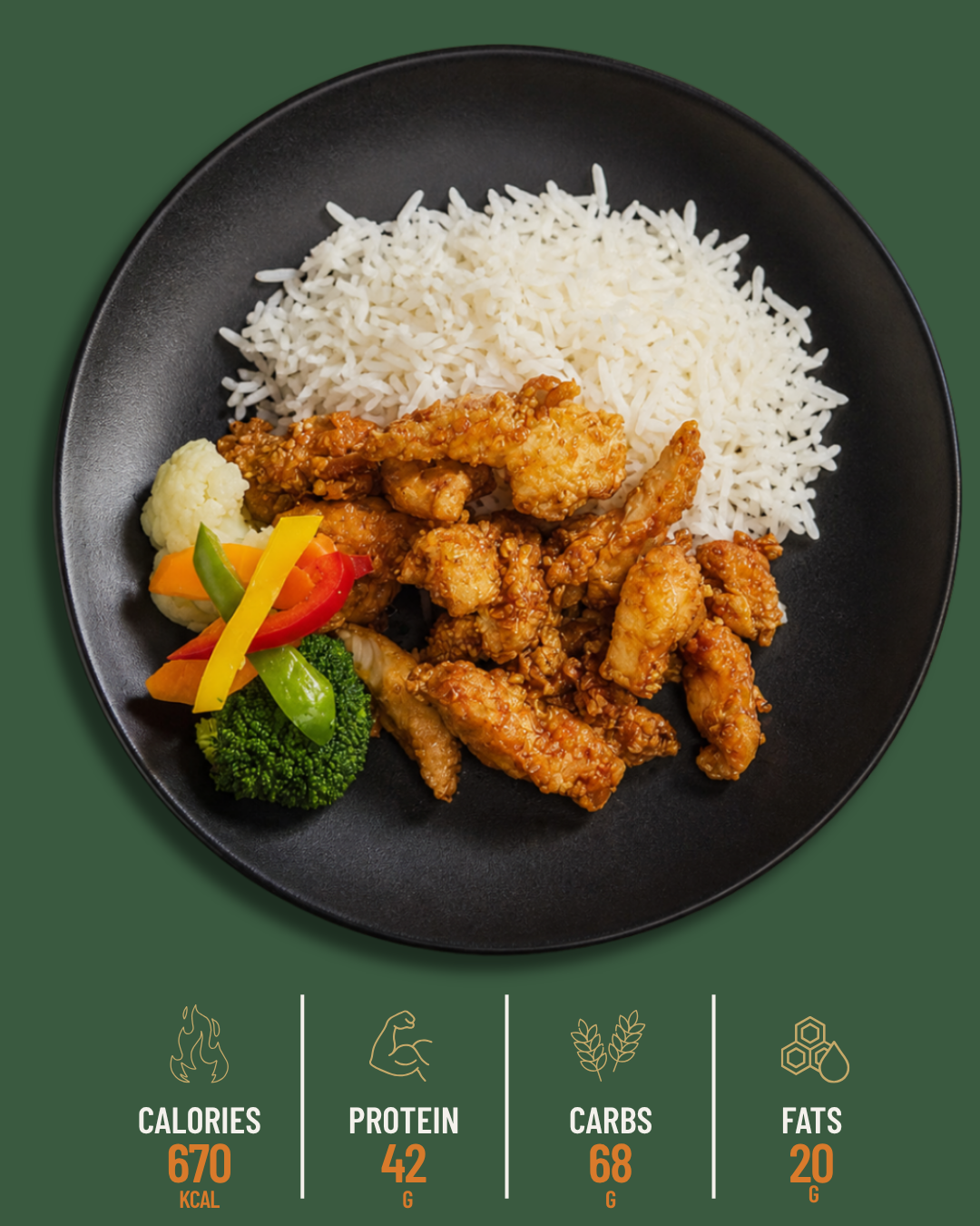 Honey Garlic Chicken